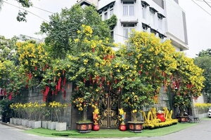 Đàm Vĩnh Hưng trang hoàng biệt thự 60 tỷ với tông màu đỏ vàng đón Tết Giáp Thìn 2024