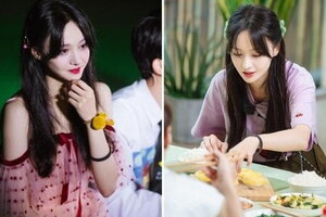 Trịnh Sảng phá sản, mất khả năng trả nợ