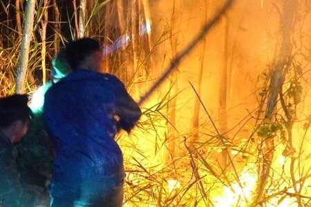 Cháy rừng ở Cà Mau: Hơn 600 người trắng đêm dập lửa