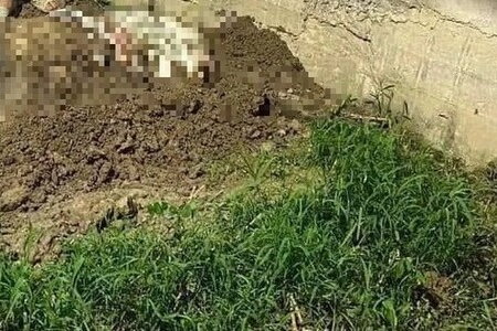 Lời khai của kẻ giết người yêu 15 tuổi, chôn xác trong vườn