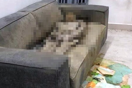 Vụ cô gái chết khô ở chung cư Hà Nội: Lý do sau 1,5 năm mới phát hiện