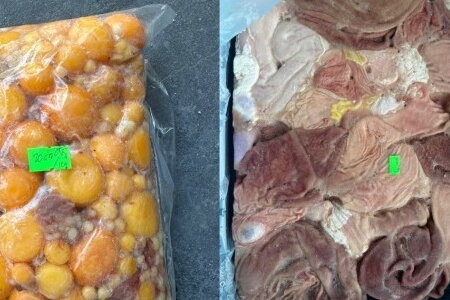 TP HCM tạm giữ 8 tấn thực phẩm đông lạnh không rõ nguồn gốc