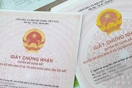 TP.HCM sẽ không thu phí cấp giấy chứng nhận quyền sử dụng đất