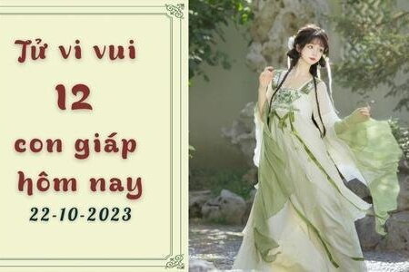 Tử vi vui 12 con giáp hôm nay ngày 22/10/2023: Tý hanh thông, may mắn