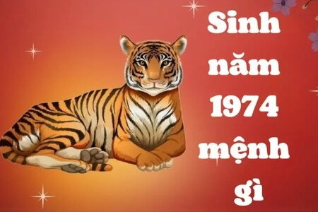 Sinh năm 1974 mệnh gì? tuổi con gì? hợp với tuổi nào trong sự nghiệp?