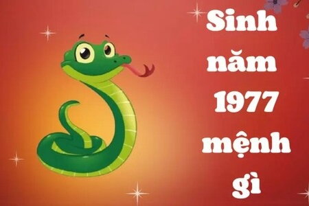 Sinh năm 1977  mệnh gì, tuổi con gì, hợp tác làm ăn với tuổi nào dễ giàu có?