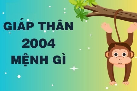 Người sinh năm 2004 mệnh gì? tuổi con gì, làm ăn hợp tác với tuổi nào thì thành công?