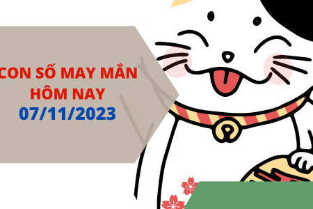 Con số may mắn hôm nay 7/11/2023: Số thịnh vượng cho đời nở hoa