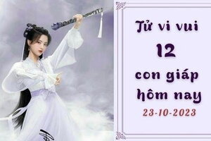 Tử vi vui 12 con giáp ngày 23/10/2023: Tý tài lộc dồi dào, nở hoa