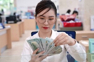 Tỷ giá USD hôm nay 29/9/2023: Hạ nhiệt từ mức đỉnh 10 tháng