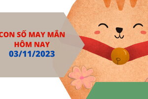 Con số may mắn hôm nay 3/11/2023: Số đẹp tốt đường công danh