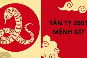 Sinh năm 2001 mệnh gì? tuổi con gì, hợp với công việc nào?