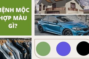 Mệnh mộc hợp màu gì? Lựa chọn đúng màu để gặp may mắn, phát tài phát lộc