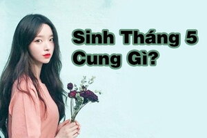 Tháng 5 là cung gì? Khám phá nghề nghiệp phù hợp với cung hoàng đạo tháng 5