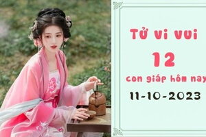 Tử vi vui 12 con giáp hôm nay 11/10/22023: Tý rất sáng suốt, Mão khó khăn công việc