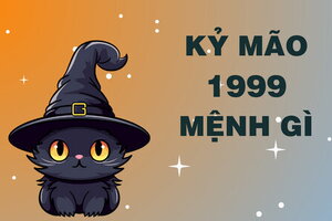 Người sinh năm 1999 mệnh gì? tuổi con gì, làm ăn hợp tác với tuổi nào thì thành công?