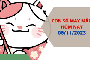 Con số may mắn hôm nay 6/11/2023: Số đẹp cho chuyện tình cảm nở rộ