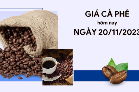 Giá cà phê hôm nay 20/11/2023: Trong nước giao dịch ở mức 58.100 - 58.800 đồng/kg