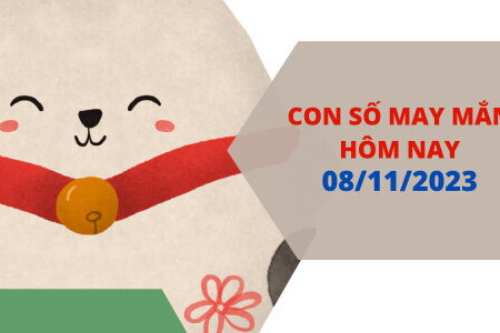 Con số may mắn hôm nay 8/11/2023: Đón ngay số lộc để sự nghiệp thăng tiến