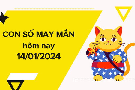 Con số may mắn hôm nay 14/1/2024: Tìm số đón lộc, tiền vào như nước