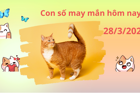 Con số may mắn hôm nay 28/3/2024: Số vượng sinh tài lộc