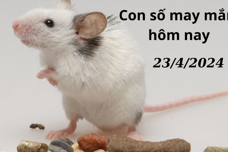 Con số may mắn hôm nay 23/4/2024: Chọn số lộc, hút tiền về ví  