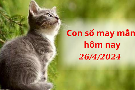 Con số may mắn hôm nay ngày 26/4/2024: Số đẹp bồi đắp tiền tài