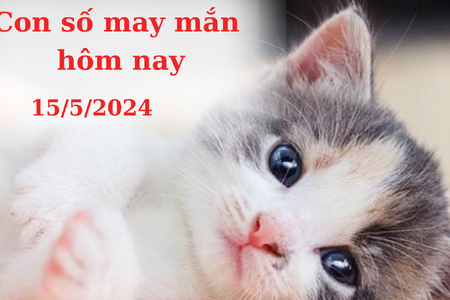 Con số may mắn hôm nay 15/5/2024: Số hên hút tiền vào túi