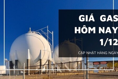 Giá gas hôm nay ngày 1/12/2023: Thế giới tăng, trong nước không biến động