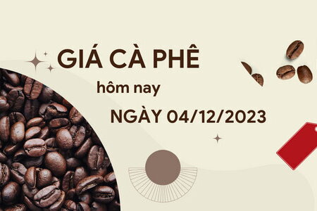 Giá cà phê hôm nay 4/12/2023: Thế giới biến động; Trong nước vẫn ở mức cao