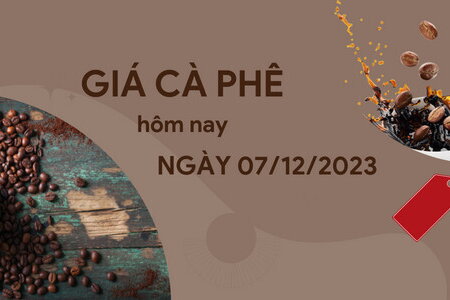 Giá cà phê hôm nay 7/12/2023: Trong nước tăng vọt, vượt mốc 60.000 đồng/kg