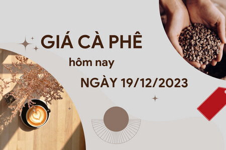 Giá cà phê hôm nay 19/12/2023: Quay đầu giảm cả thế giới và trong nước