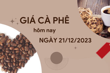 Giá cà phê hôm nay 21/12/2023: Bất ngờ lập đỉnh mới