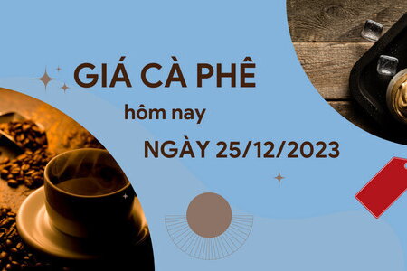 Giá cà phê hôm nay 25/12/2023: Duy trì ở mức cao