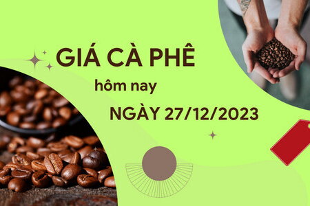 Giá cà phê hôm nay 27/12/2023: Trong nước duy trì mức ổn định