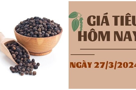 Giá tiêu hôm nay 27/3/2024: Trong nước đi ngang, thế giới nhiều biến động