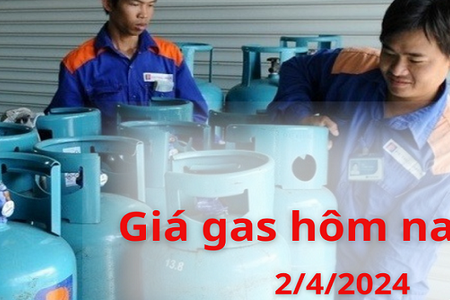 Giá gas hôm nay ngày 2/4/2024: Trong nước giảm, Thế giới cùng chiều đi xuống