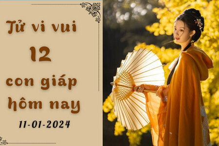 Tử vi vui 12 con giáp hôm nay ngày 11/1/2024: Mão có tài lộc, Thân tình duyên tốt