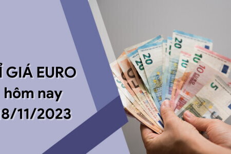 Tỷ giá Euro hôm nay 18/11/2023: Phiên cuối tuần giảm không ngừng