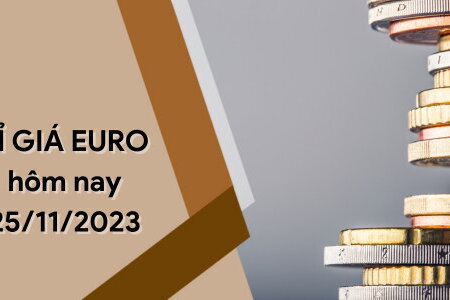 Tỷ giá Euro hôm nay 25/11/2023: Phiên cuối tuần giảm nhẹ