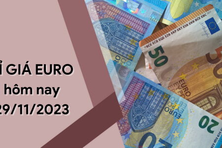 Tỷ giá Euro hôm nay 29/11/2023: Quay đầu tăng nhẹ