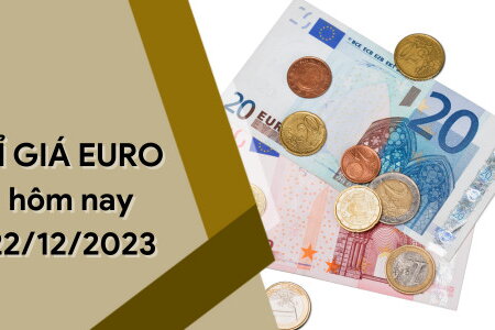 Tỷ giá Euro hôm nay 22/12/2023: Giảm không ngừng