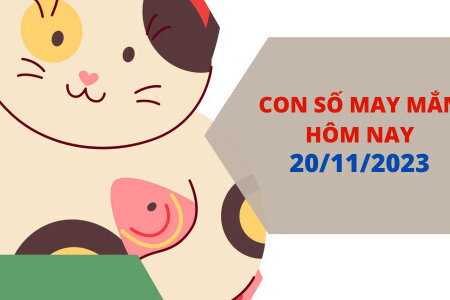 Con số may mắn hôm nay 20/11/2023: Thần số về tay hút ngay tài lộc