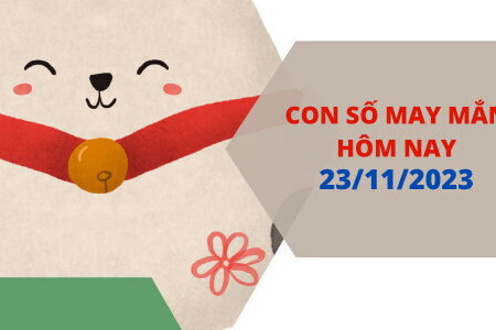 Con số may mắn hôm nay 23/11/2023: Số vượng cho tài cho lộc