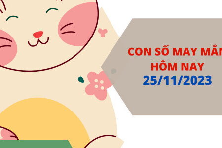 Con số may mắn hôm nay 25/11/2023: Số cát tài tốt cho sự nghiệp, tình duyên