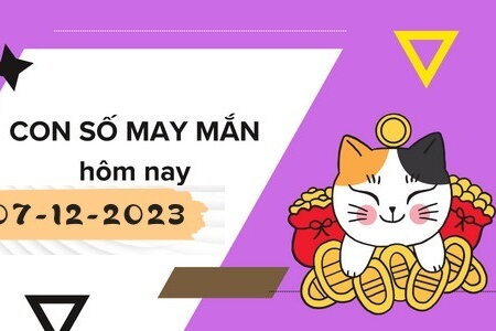 Con số may mắn hôm nay 7/12/2023: Số cát lợi tạo kỳ tích