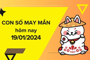 Con số may mắn hôm nay 19/1/2024: Săn số vượng tài cho cả ngày hút lộc