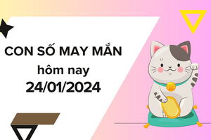 Con số may mắn hôm nay 24/1/2024: Số đẹp rước tài lộc vào nhà