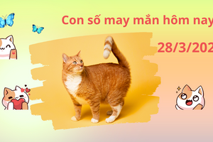 Con số may mắn hôm nay 28/3/2024: Số vượng sinh tài lộc