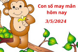 Con số may mắn hôm nay 3/5/2025: Số đẹp hút no lộc trời